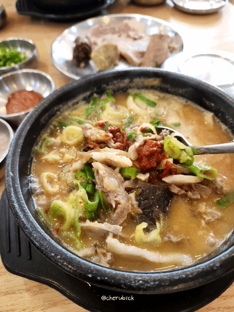  전국 순대국 맛집_강창구찹쌀 진순대 본점, 구리 맛집 찐 후기