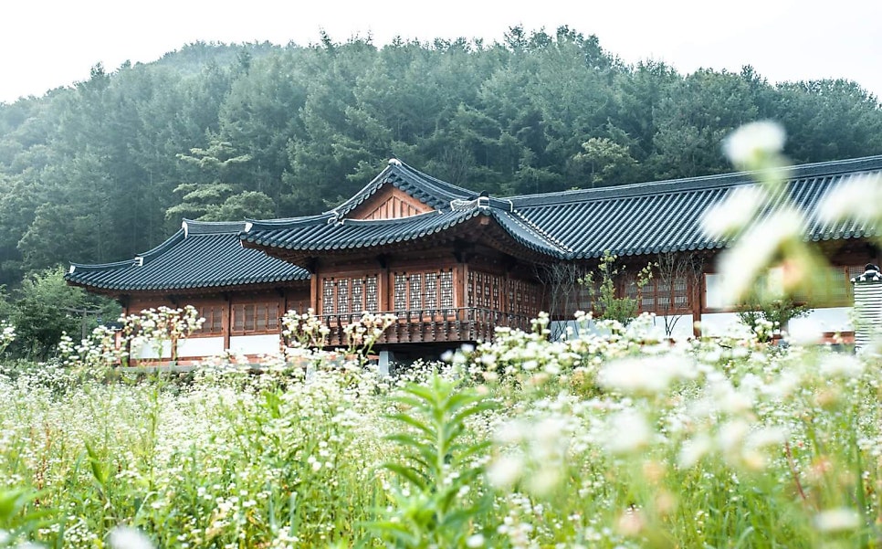 원앙골 사진 3