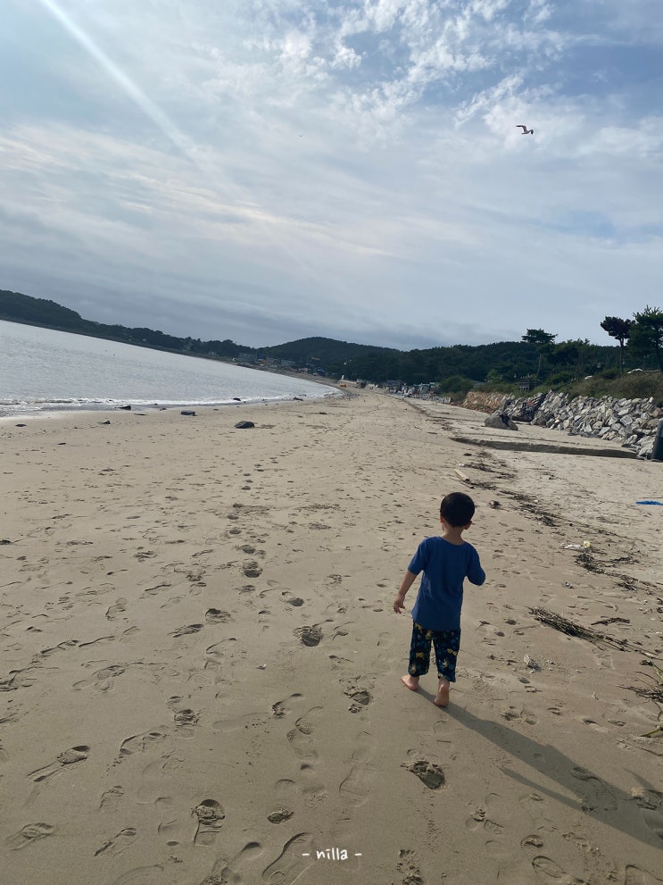  아기랑 게도 잡고 모래놀이도 하는 영종도 마시안 해변