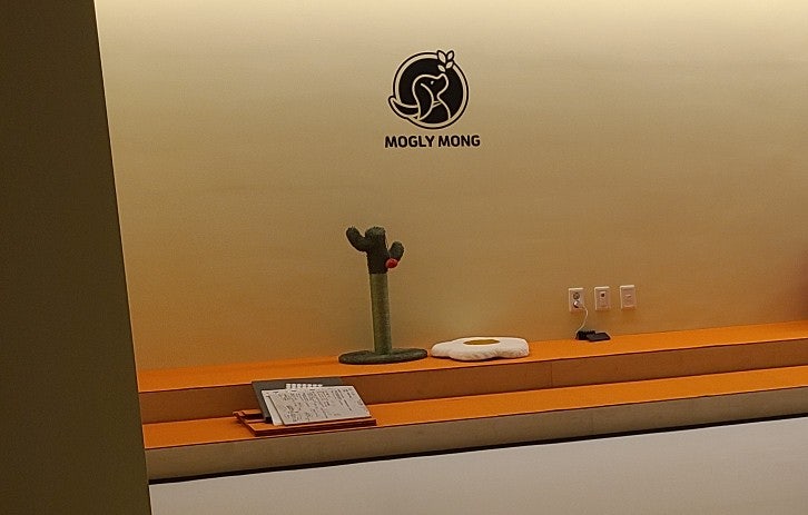 사진 2