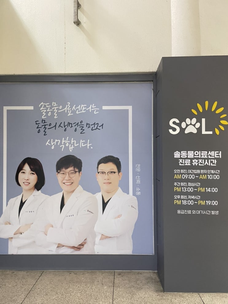  [산본 동물병원] 내돈내산 - 솔동물병원