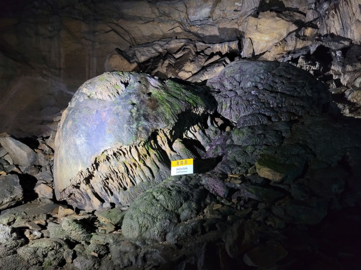 태백 용연동굴 : 대한민국에서 가장 높고, 내부는 엄청 낮고