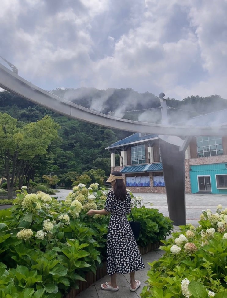  여름휴가 리조트룩으로 패턴 원피스 추천 써스데이아일랜드 메종블랑쉬