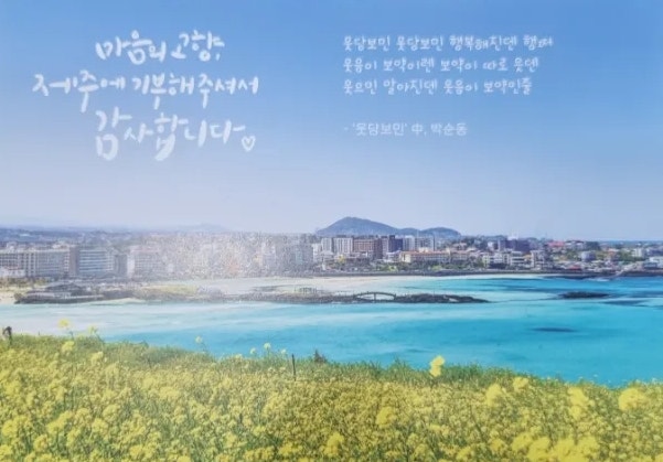  제주도에서 본 좋은 글 웃당보민 中 박순동