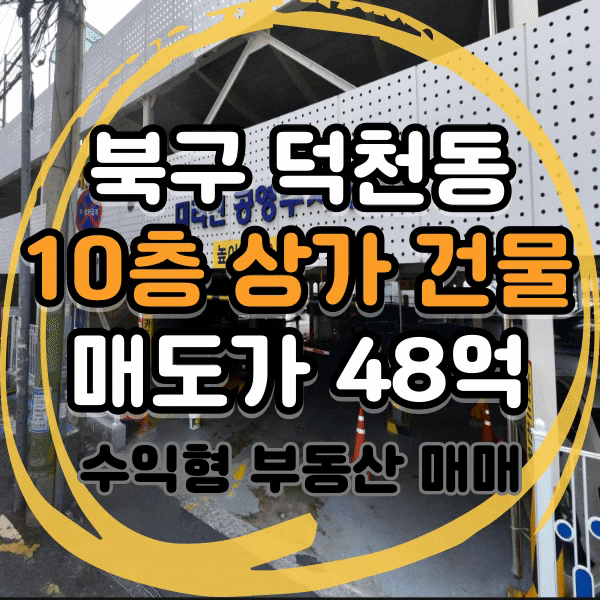  북구 덕천동 10층 건물 매매, 수익률 5% 이상 수익형 부동산, 대리천 공영주차장 인근 강변 뷰 가능한 상가건물