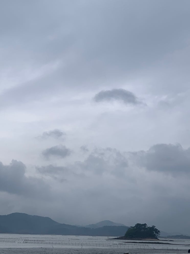  법인전환 전 확인필수. 개인/법인 세금 차이