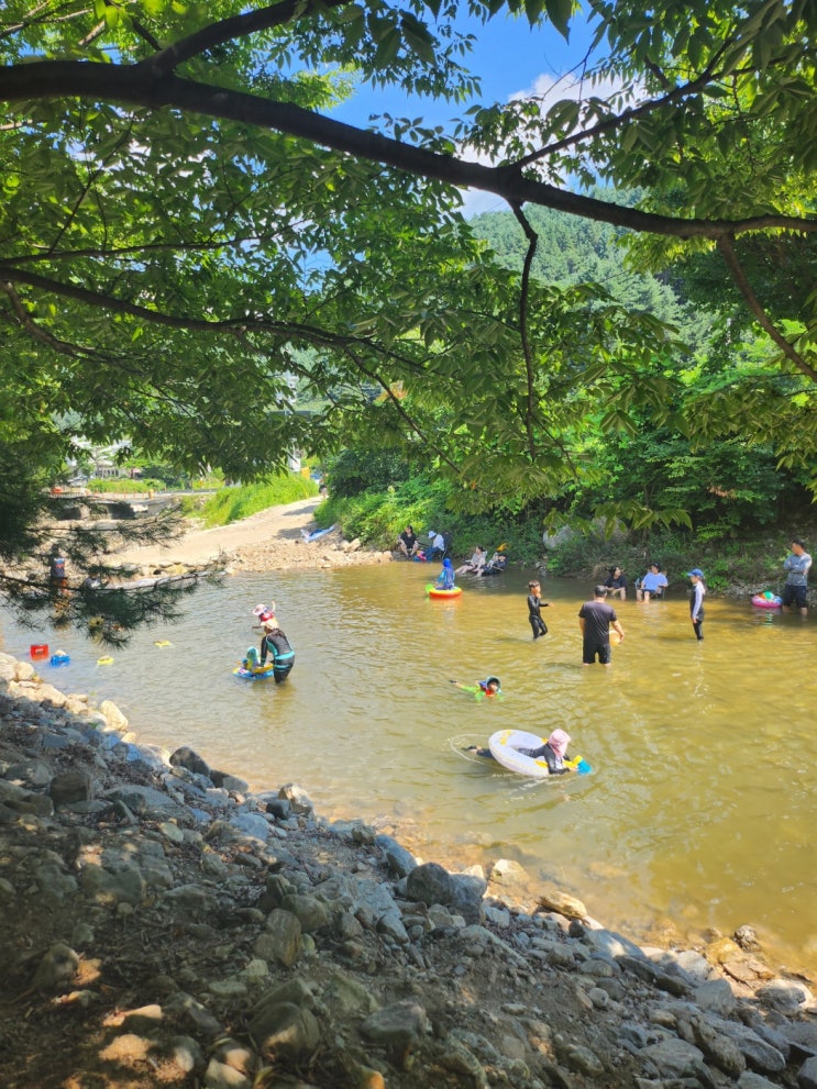 경기도광주 계곡 애견동반, 취사가능, 평상대여 비용및 이용시간 경기도광주 계곡 애견동반, 취사가능, 평상대여 비용및 이용시간