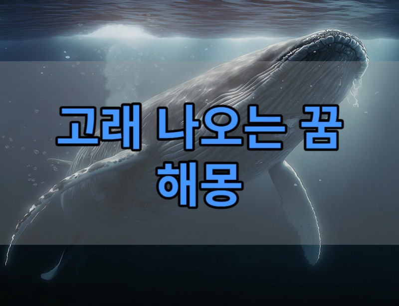고래꿈 잡는,잡아먹히는, 따라오는, 흰, 고래 나오는 꿈