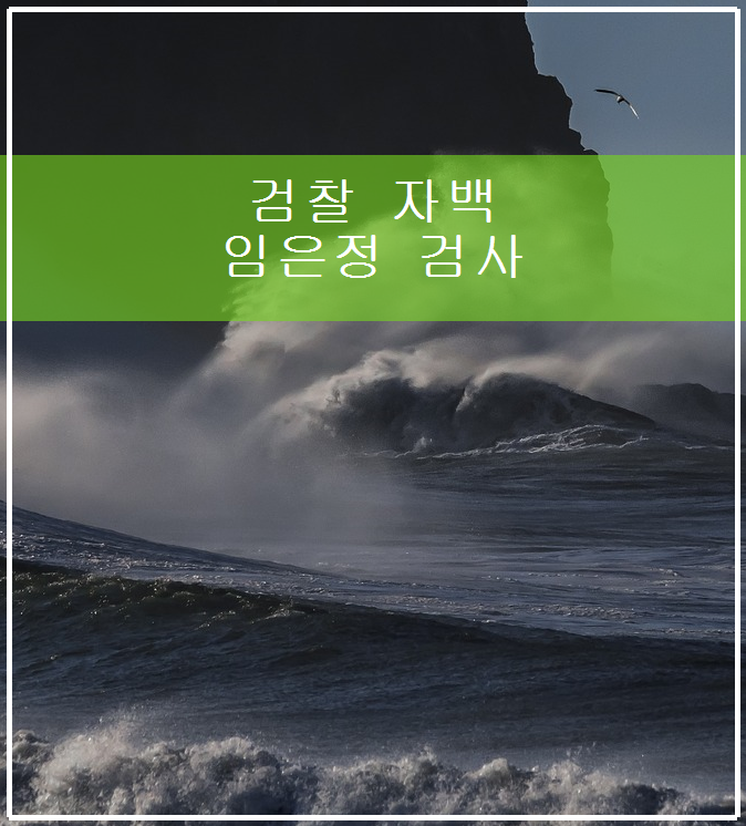 검찰 자백 <b>임은정</b> <b>검사</b> 주된