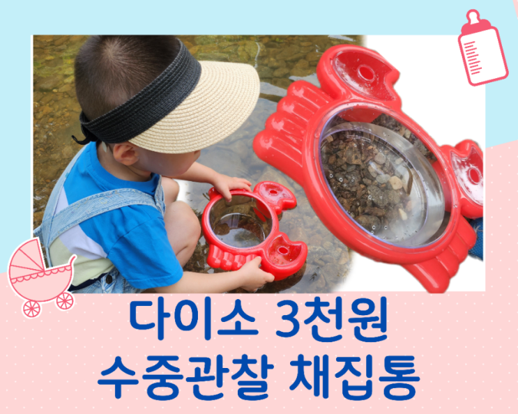 다이소 수중 관찰 채집통 아이들 계곡, 바다 물놀이 필수용품