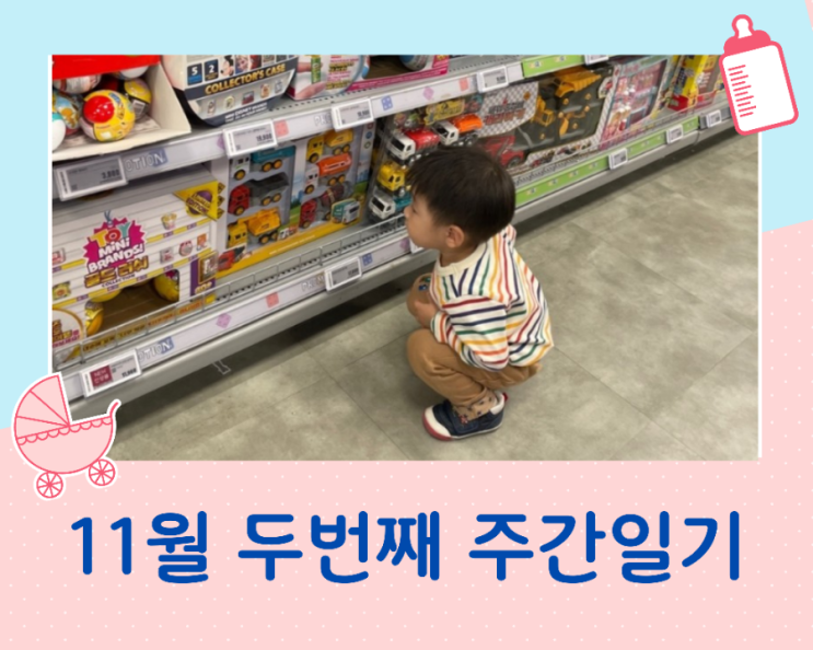  11월 두번째 주간일기