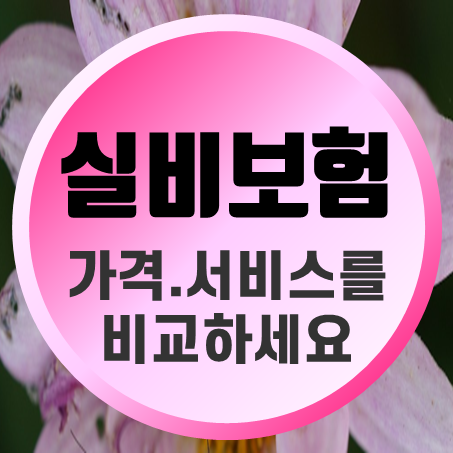  실비보험비교 하신다면 회사별 실비보험료 계산 및 보상 만족도를 확인하세요.