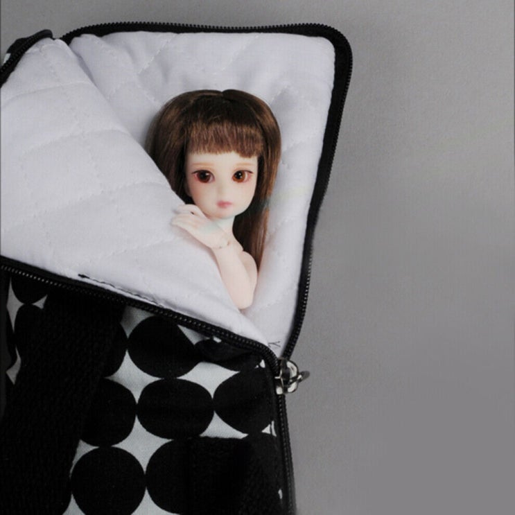  구체관절인형은 어디에 보관할까? 보관 수단 총정리