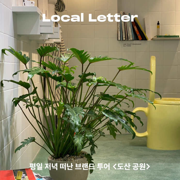  [Local Letter] 평일 저녁 떠난 브랜드 투어 <도산 공원>