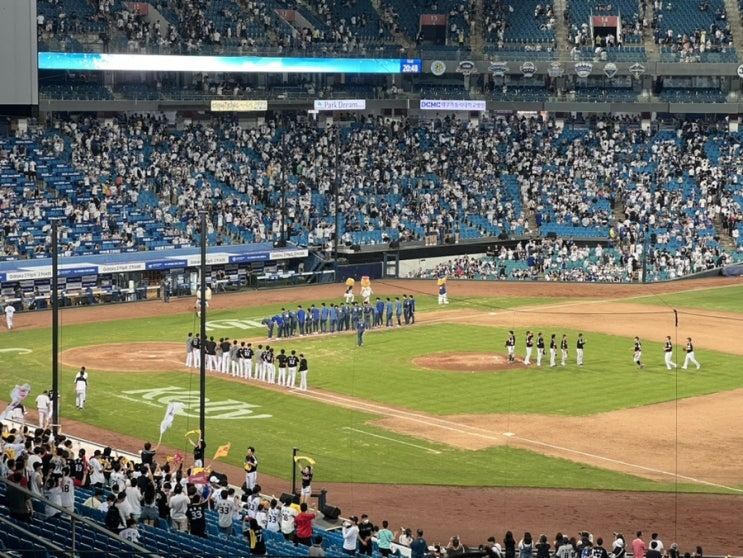  삼성라이온즈파크 : 삼성 라이온즈 vs LG트윈스 직관 잔디석 후기 (대프리카 바캉스)