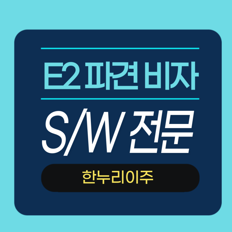  미국 파견 비자 - 소프트웨어 전문기업