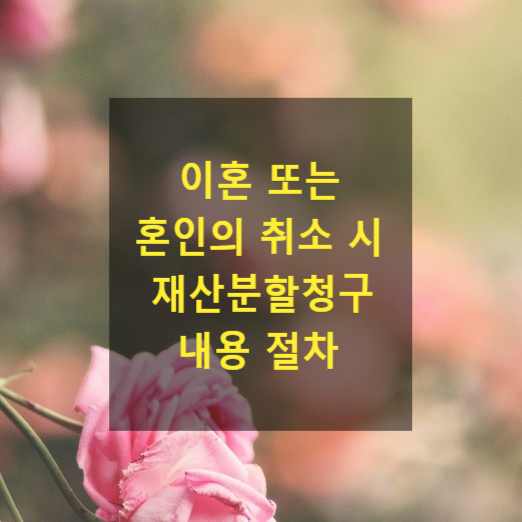  이혼 또는 혼인의 취소 시 재산분할청구 내용 절차