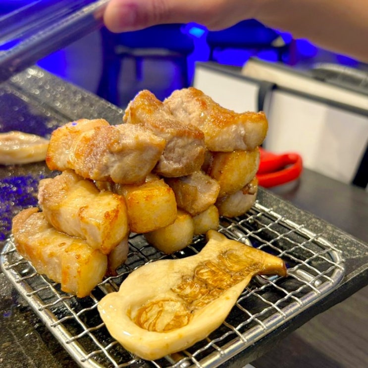  [강서구청] 화곡동 주민 삼겹살 맛집 국일삼 방문 후기