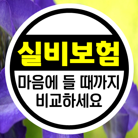  실비보험 계산 후 더 좋은 실비보험 견적으로 가입하세요.