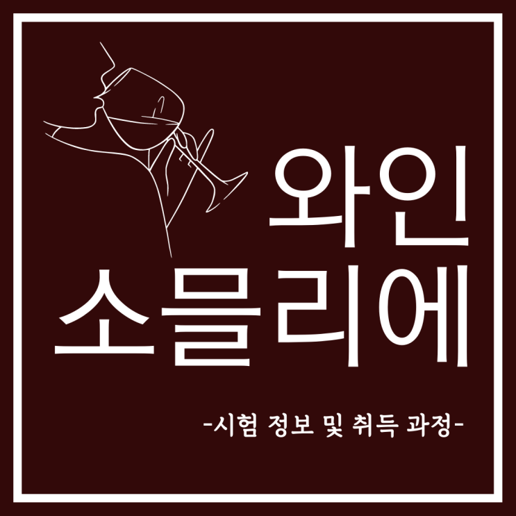 와인소믈리에 자격증 시험 정보 및 취득 과정 (+ 진로 및 전망) 와인소믈리에 자격증 시험 정보 및 취득 과정 (+ 진로 및 전망)