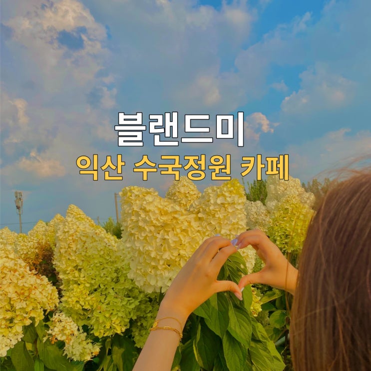  전라도 수국 만발 익산카페 블랜드미 인생샷 찍으러가요