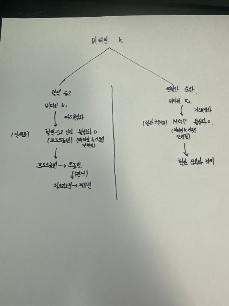 과학, 기술 지문을 정확히 읽고 푸는 방법 (23학년도 6월 모의고사 비타민-K 지문) 1. 지문 독해....