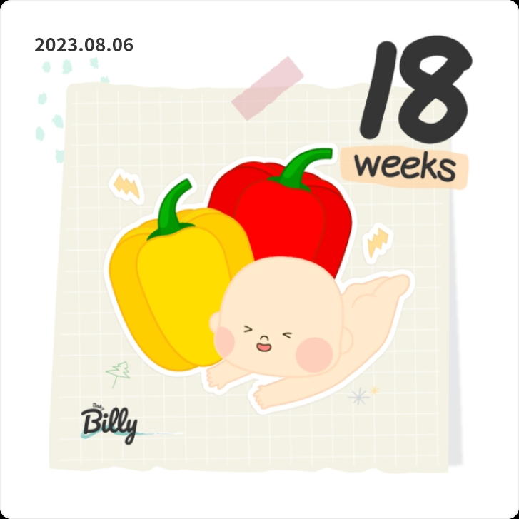  임신일기 18주차 코로나 후유증 임신증상