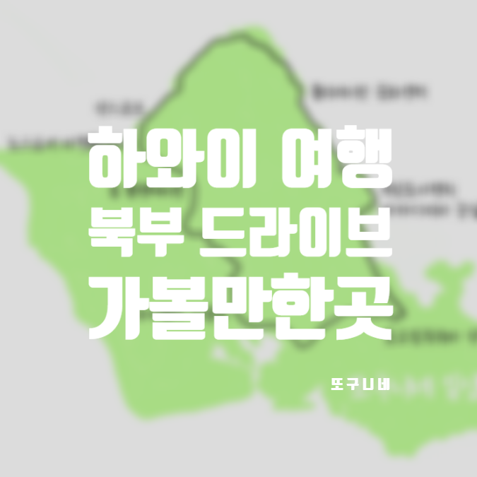  하와이 83번 국도 오하우 북부 드라이브 코스 가볼만한곳