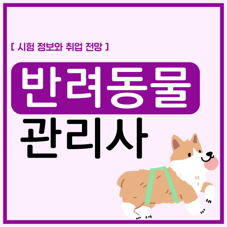 반려동물관리사 자격증 취득 과정 및 학습 방법 (시험 정보와 취업 전망) 반려동물관리사 자격증 취득 과정 및 학습 방법 (시험 정보와 취업 전망)