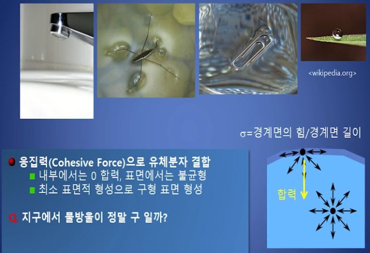 표면장력과 모세관 현상 - 유체의 성질 -3