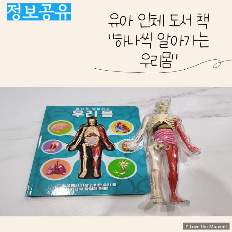  유아 탐구 활동) 하나씩 알아가는 우리몸 - 어린이 인체 도서 책 & 독후활동