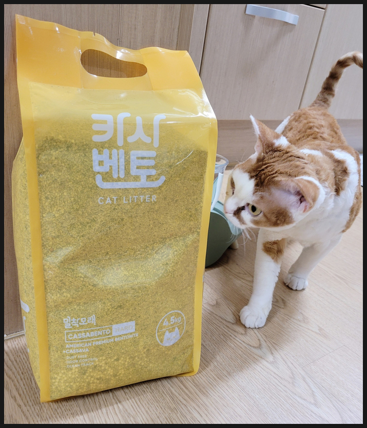  밀착모래 카사벤토 고양이모래 탈취력 및 응고력 최고에요