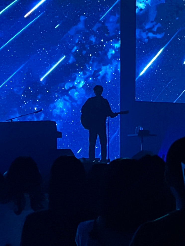 230805 <b>하현상 콘서트</b> 후기