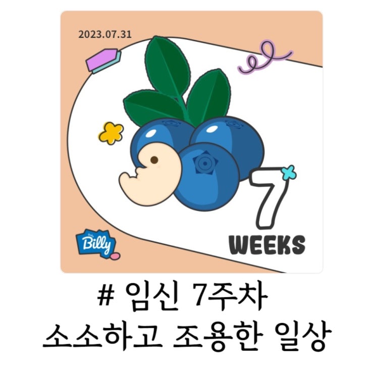  [임신일기] 임신 7주차 / 소소하고 조심스러운 임신초기 산모의 일상