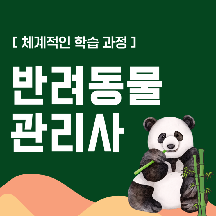 반려동물관리사 자격증 취득 정보 및 체계적인 학습 과정(취업 후 하는 일)