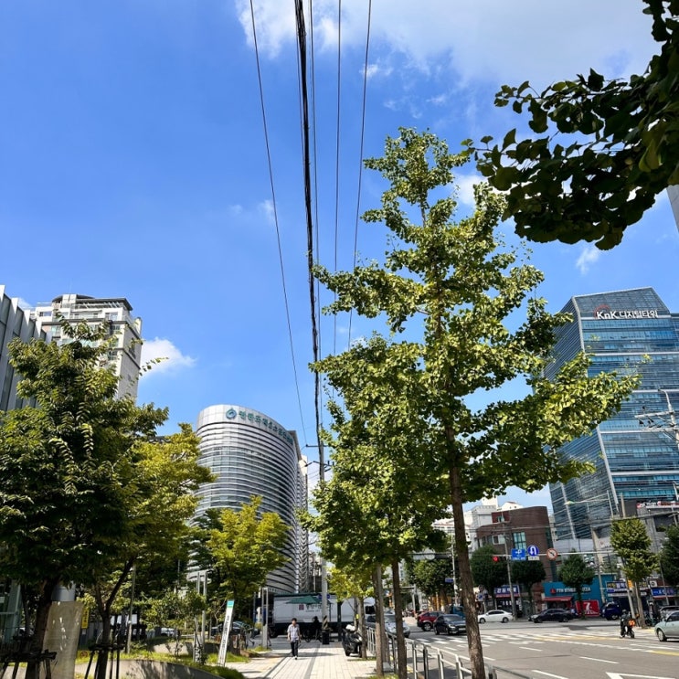  [8-1] 아이쿠 뜨거워라 이 여름