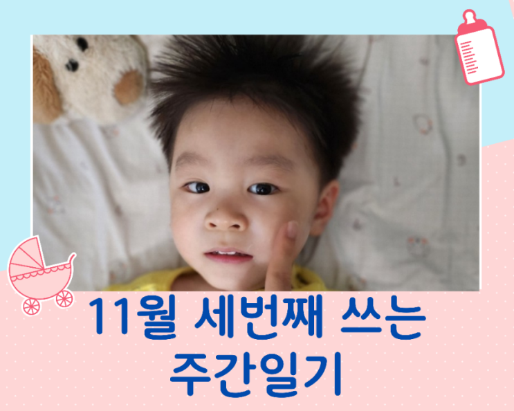  11월 세번째 주간일기