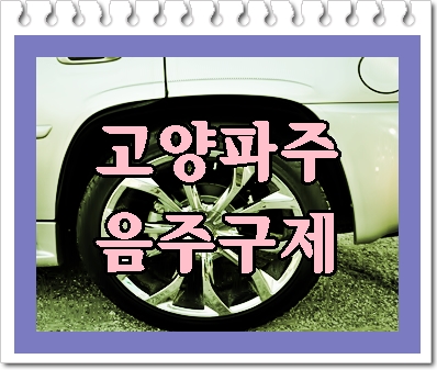  고양 및 파주 음주운전 구제