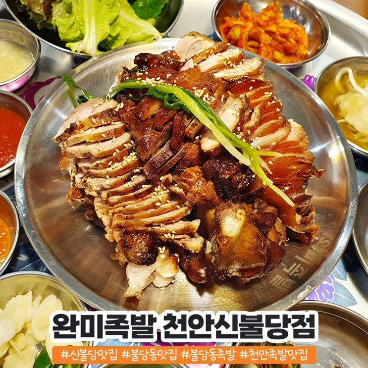 불당동 족발 오마카세가 이색적인 완미족발 천안신불당점 불당동 족발 오마카세가 이색적인 완미족발 천안신불당점