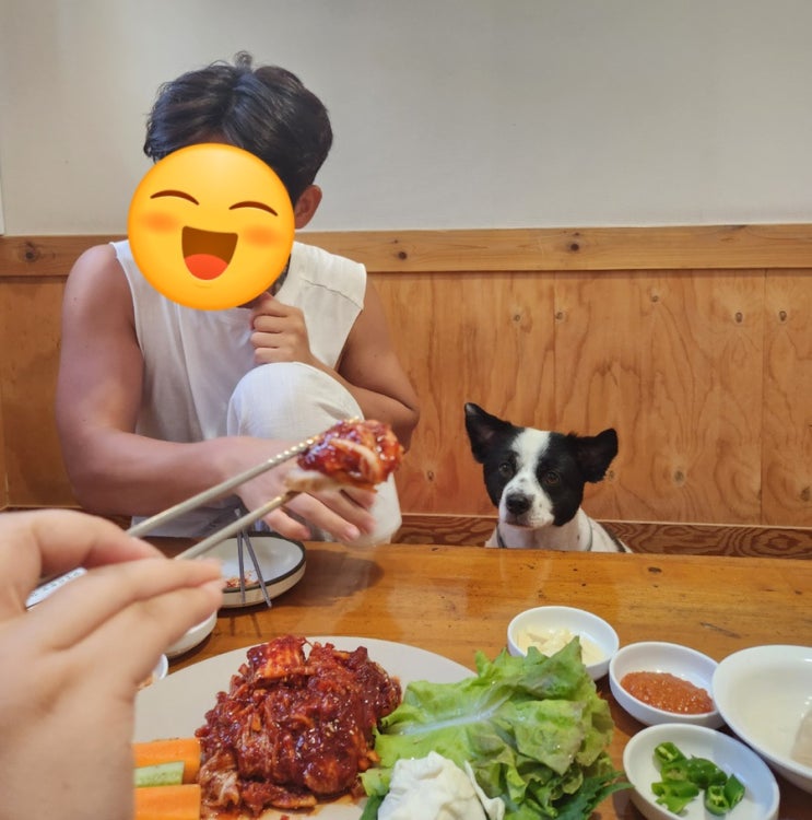  (춘천) 강원도 애견동반 여행, 맛집 추천[별당막국수]