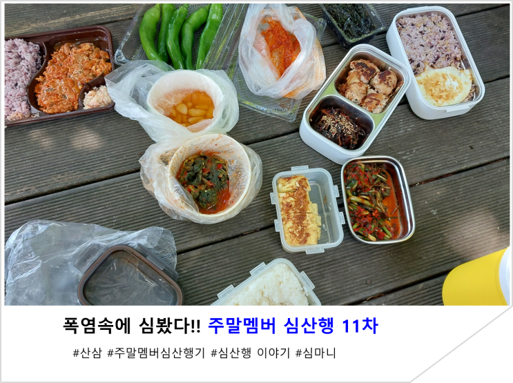  폭염속에 심봤다!! 주말멤버 심산행 11차