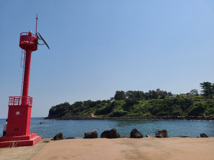  제주도 4박5일 여행 (5일차)