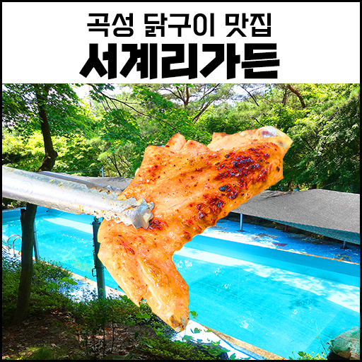 [전남 곡성 맛집] 서계리가든 토종닭구이와 무료 수영장 즐기기