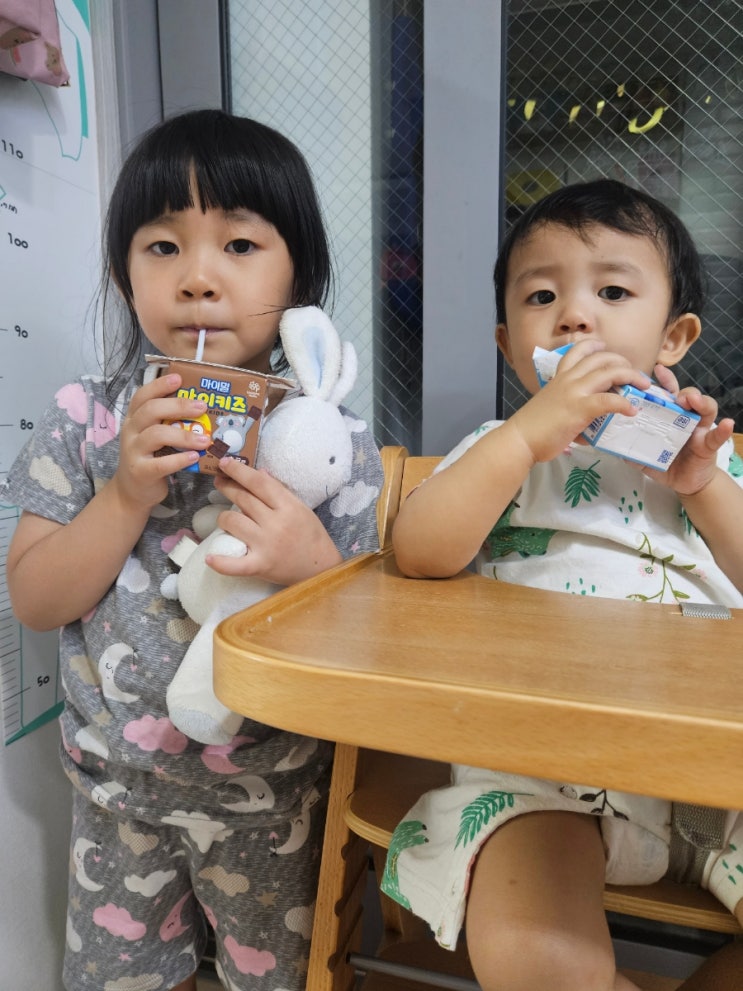  6살, 2살 모두 잘 먹는 마이밀 마이키즈 밀크 맛, 마이키즈 초코맛