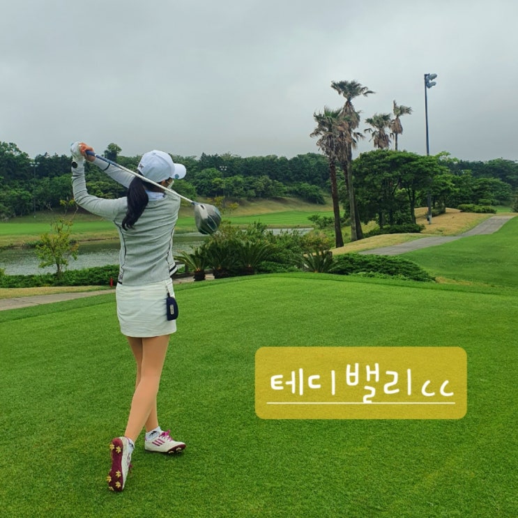  테디밸리cc 후기 두산위브챔피언십 대회 정보(갤러리 티켓, 주차장, 셔틀)