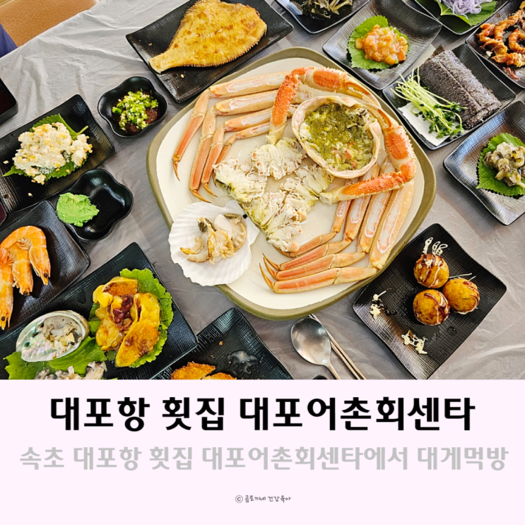 속초 대게 맛있는 대포항 횟집 대포어촌회센타 애견동반식당 속초 대게 맛있는 대포항 횟집 대포어촌회센타 애견동반식당