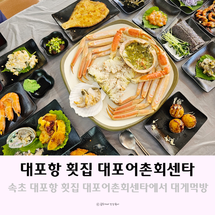 속초 대게 맛있는 대포항 횟집 대포어촌회센타 애견동반식당