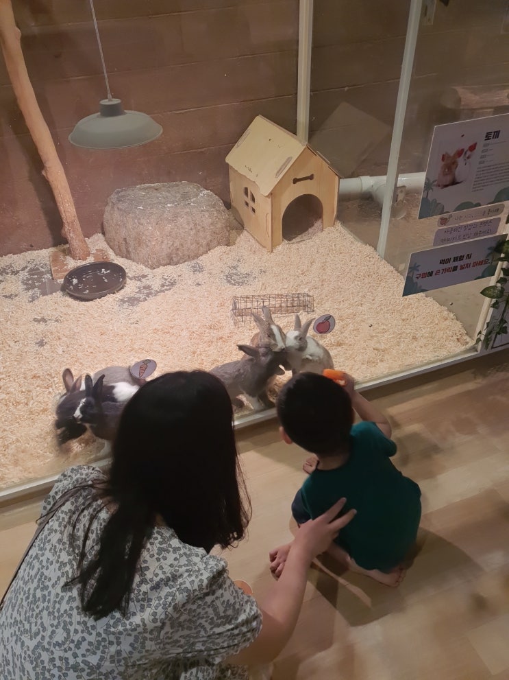  [쥬라리움 금천점] 실내동물원이 있는 키즈카페 :-)