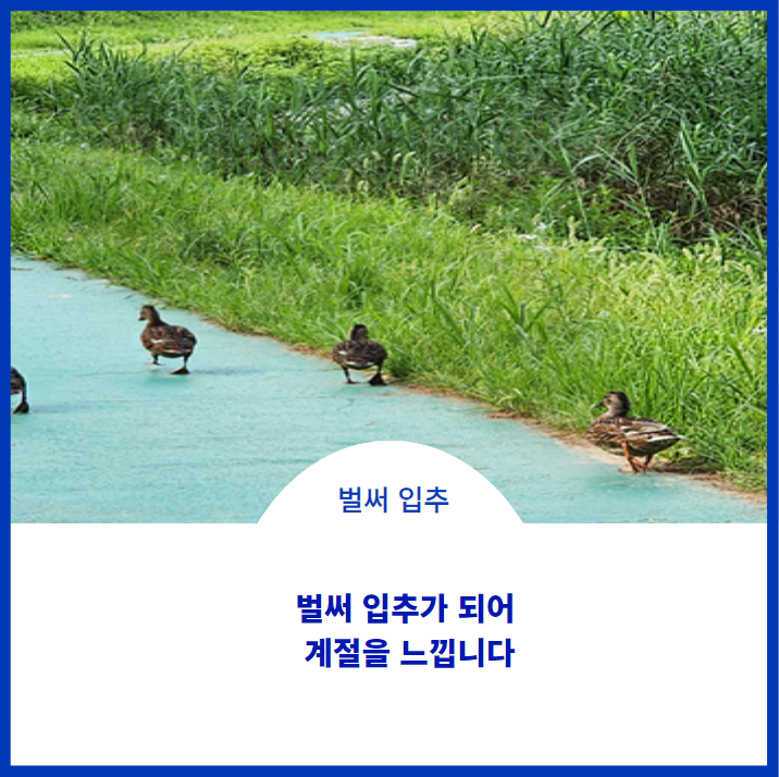  오늘이 입추에요~~
