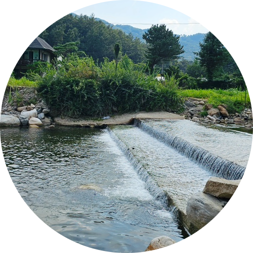  23.08.04-05 양평 용문 연수계곡 방문